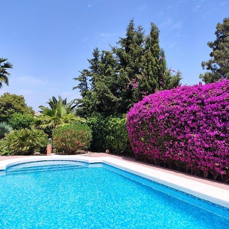 Villa With Private Pool, Bbq, Fitness Center & Sauna San Vicente Raspeig Luaran gambar