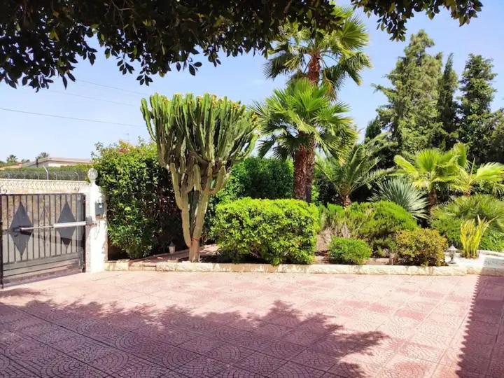 Villa With Private Pool, Bbq, Fitness Center & Sauna San Vicente Raspeig Luaran gambar